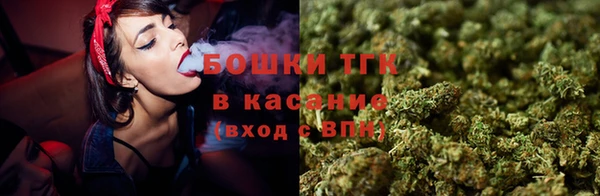МДПВ Бронницы