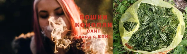 МДПВ Бронницы