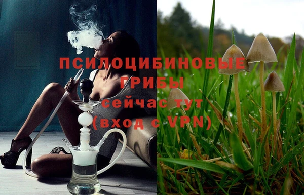герыч Бородино