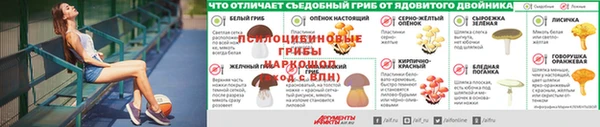 герыч Бородино