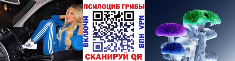 Псилоцибиновые грибы мицелий  наркота  Голицыно 
